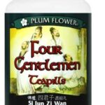 Plum Flower - Four Gentlemen (Si Jun Zi Wan)