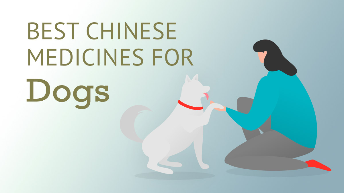 Best Chinese Medicines for Dogs