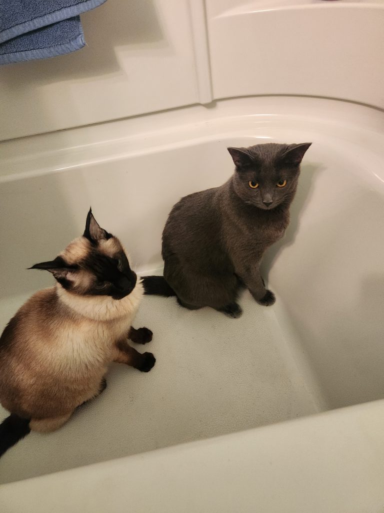 Image #1 from Judith